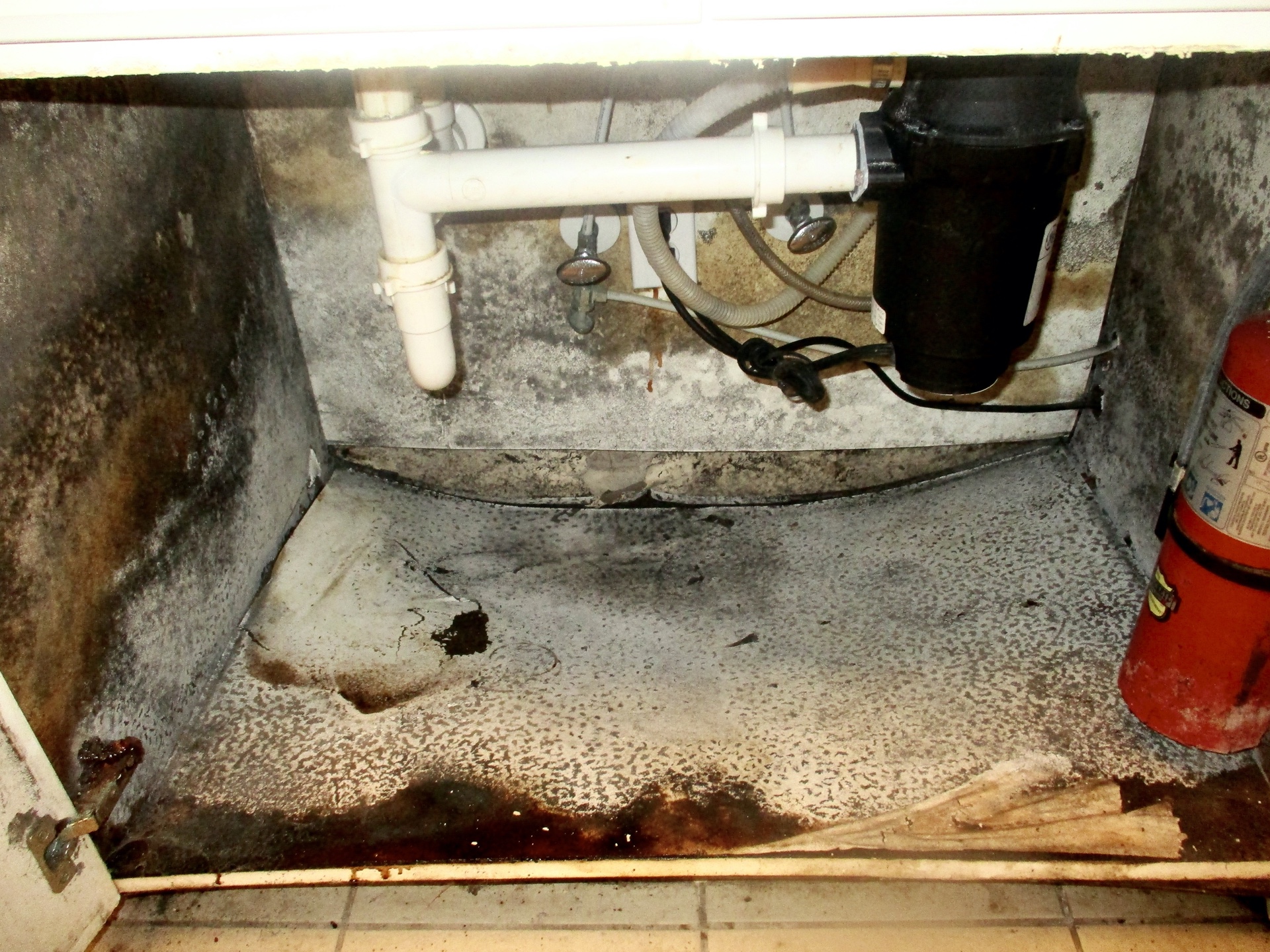 kitchen sink cabinet mold removal